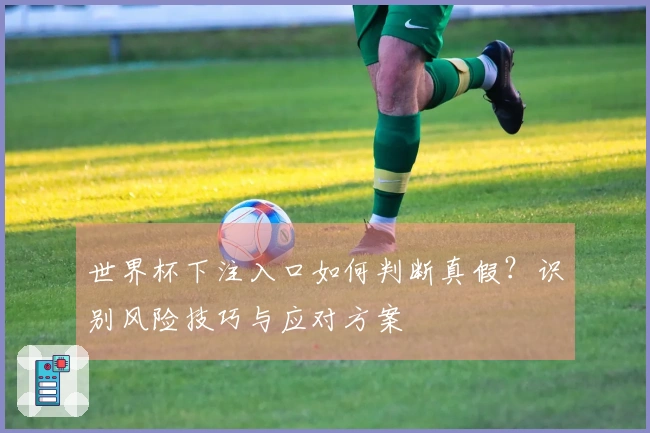 世界杯下注入口如何判断真假？识别风险技巧与应对方案