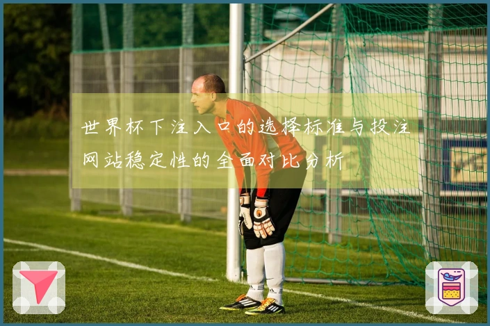 世界杯下注入口的选择标准与投注网站稳定性的全面对比分析