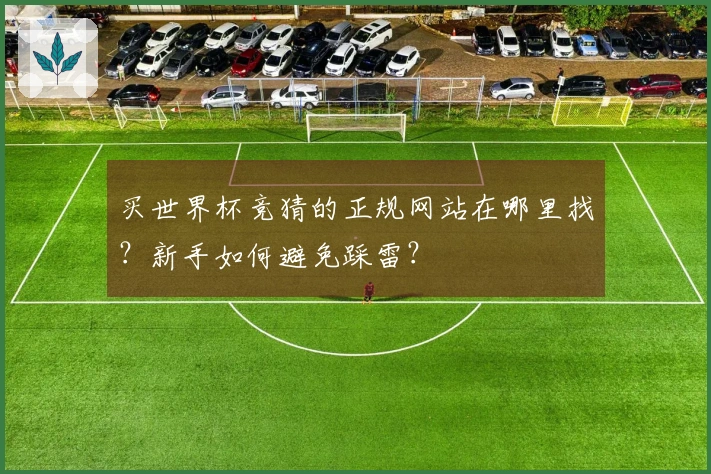 买世界杯竞猜的正规网站在哪里找？新手如何避免踩雷？