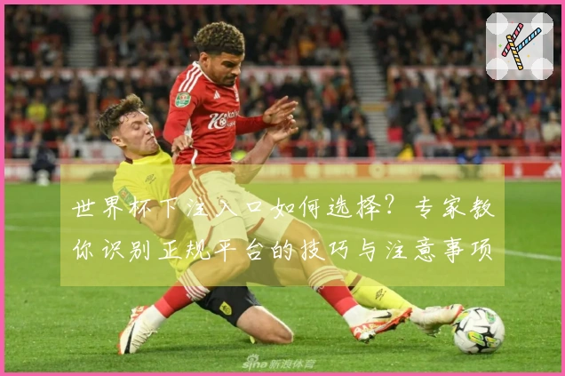 世界杯下注入口如何选择?专家教你识别正规平台的技巧与注意事项