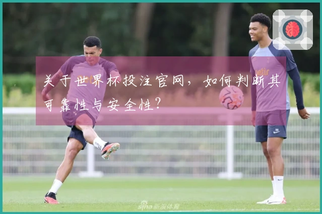 关于世界杯投注官网，如何判断其可靠性与安全性？
