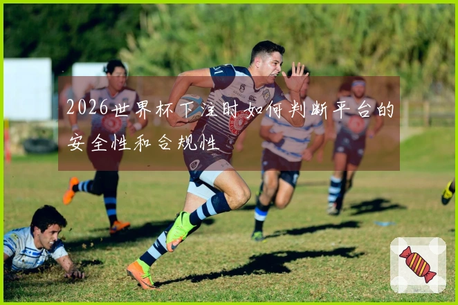 2026世界杯下注时如何判断平台的安全性和合规性