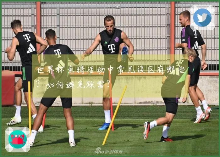 世界杯竞猜活动中常见误区有哪些？如何避免踩雷？