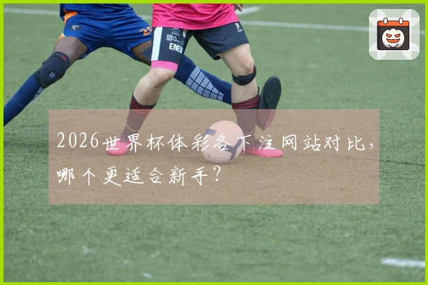 2026世界杯体彩各下注网站对比，哪个更适合新手？