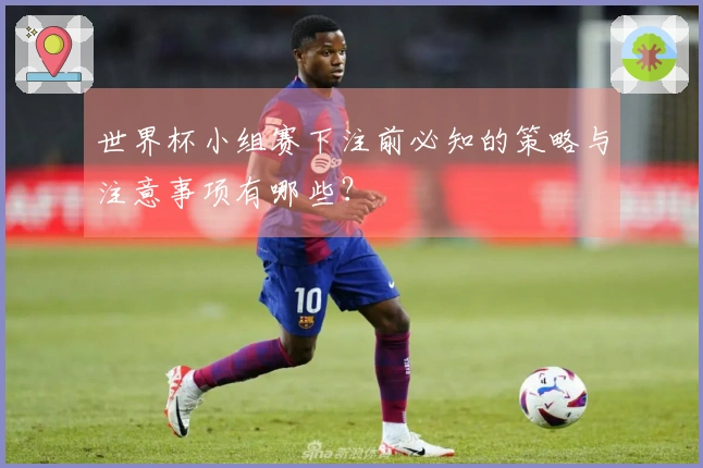 世界杯小组赛下注前必知的策略与注意事项有哪些？
