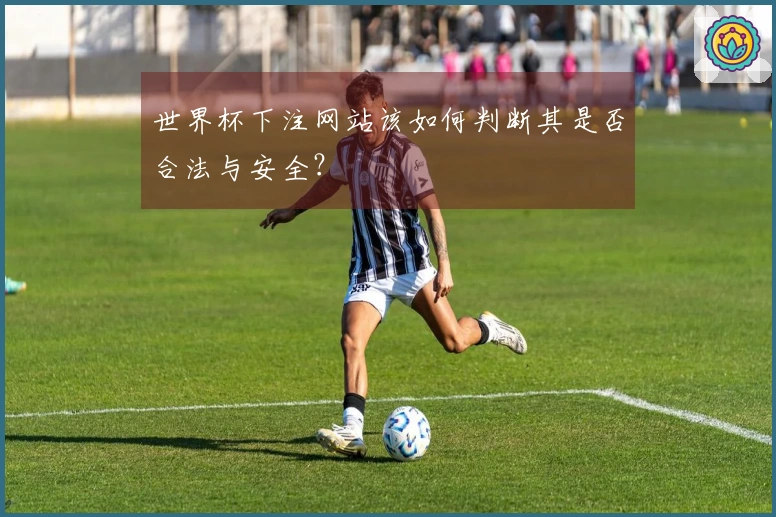 世界杯下注网站该如何判断其是否合法与安全？