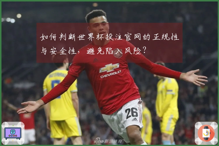 如何判断世界杯投注官网的正规性与安全性，避免陷入风险？