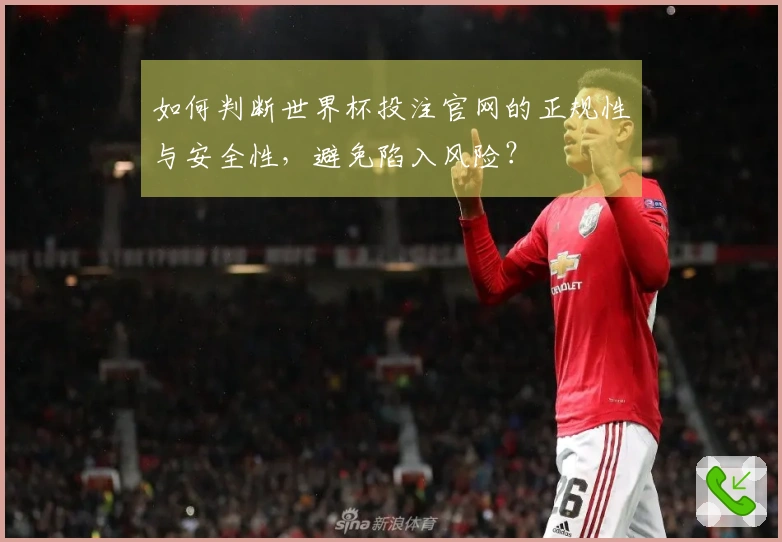 如何判断世界杯投注官网的正规性与安全性,避免陷入风险?