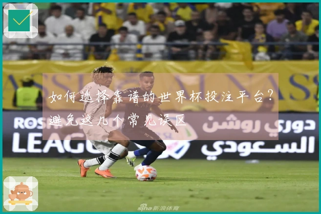 如何选择靠谱的世界杯投注平台？避免这几个常见误区