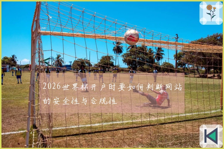 2026世界杯开户时要如何判断网站的安全性与合规性