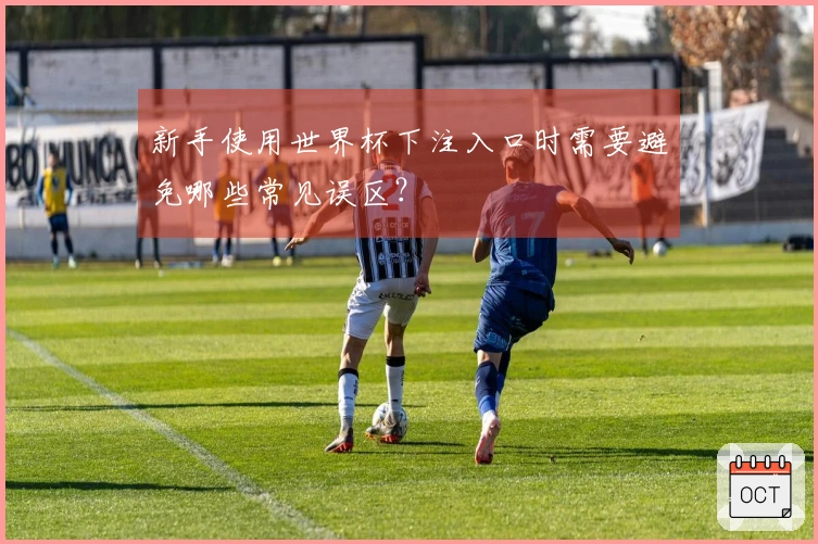 新手使用世界杯下注入口时需要避免哪些常见误区？