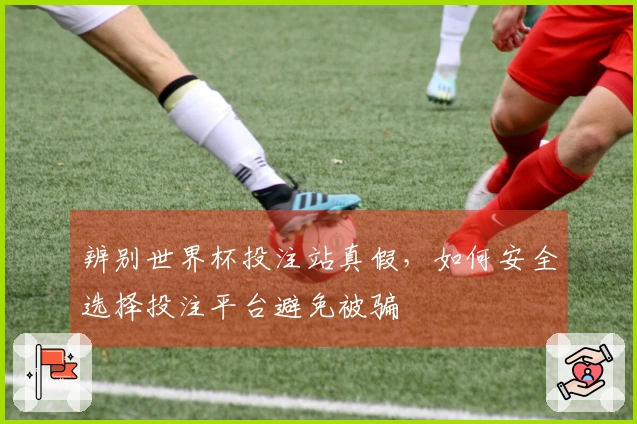 辨别世界杯投注站真假,如何安全选择投注平台避免被骗