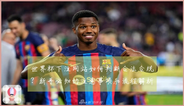 世界杯下注网站如何判断合法合规?新手必知的注意事项和流程解析