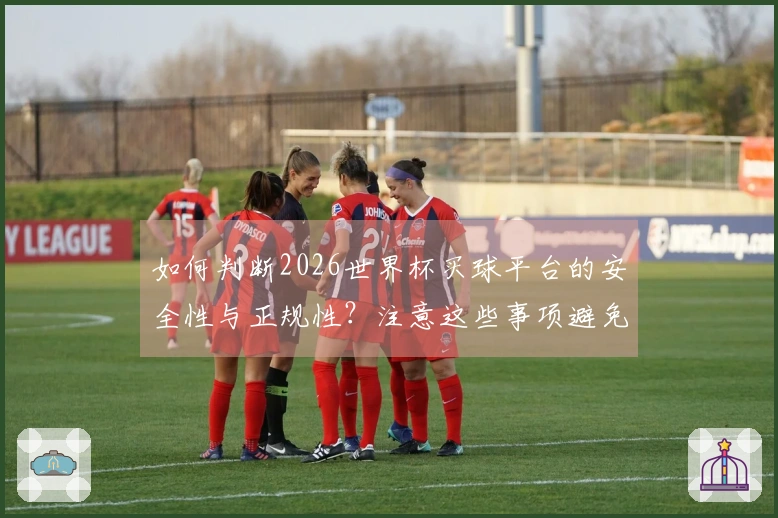 如何判断2026世界杯买球平台的安全性与正规性？注意这些事项避免踩雷