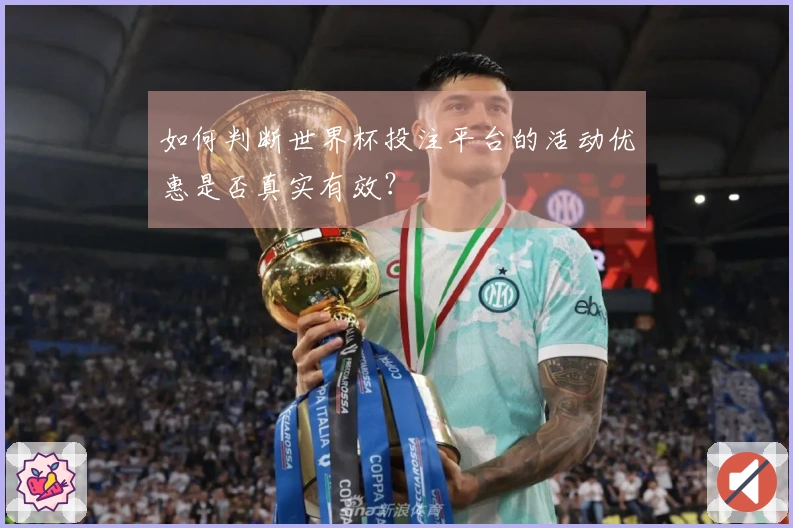 如何判断世界杯投注平台的活动优惠是否真实有效？