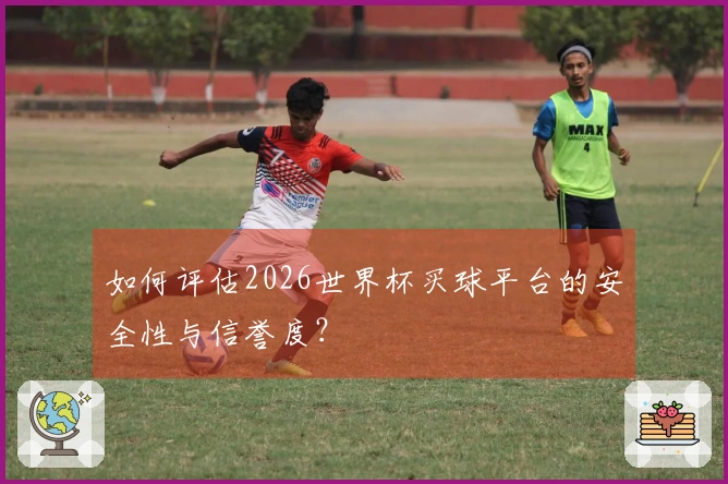 如何评估2026世界杯买球平台的安全性与信誉度?