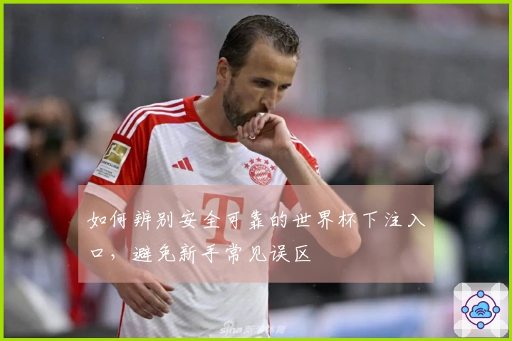 如何辨别安全可靠的世界杯下注入口,避免新手常见误区