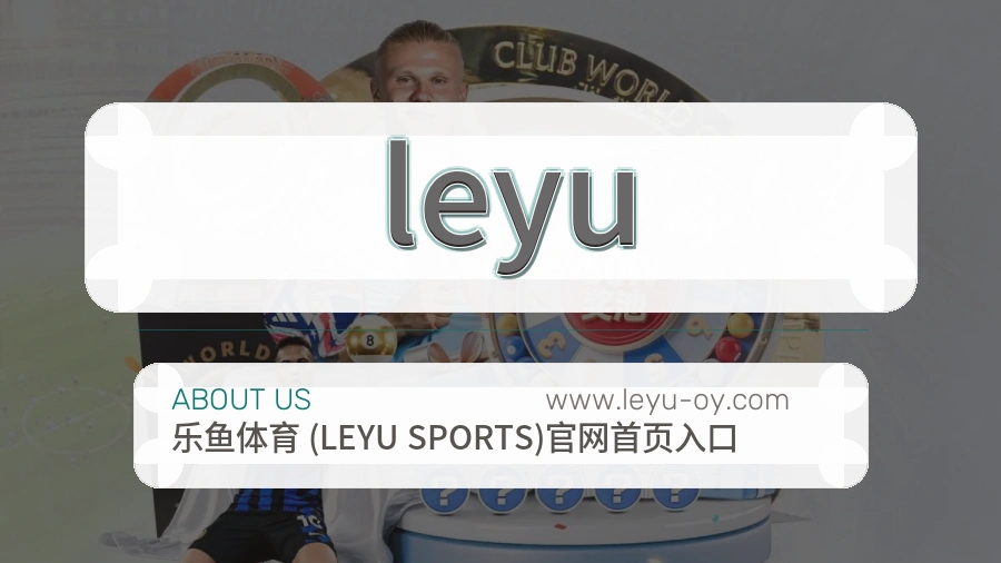 leyu认真做事介绍